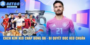 Cách xem kèo chấp bóng đá