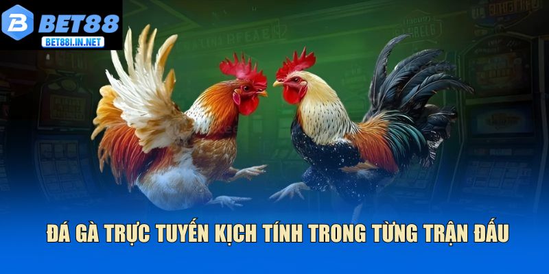 Trang chủ 19 Đá gà trực tuyến kịch tính trong từng trận đấu